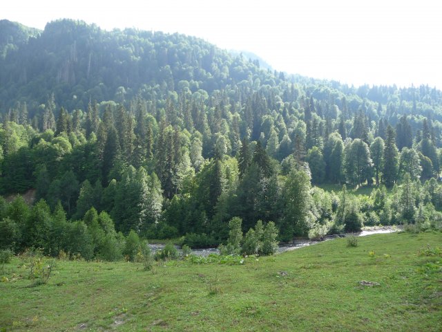 "Альпийские луга" Абхазии