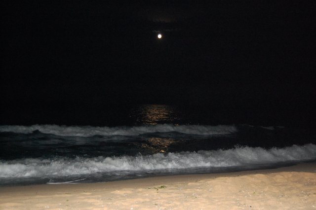 Свет в ночном царстве моря (берег Чёрного моря, Болгария)