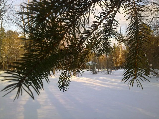 Усть-Нарва зимой!